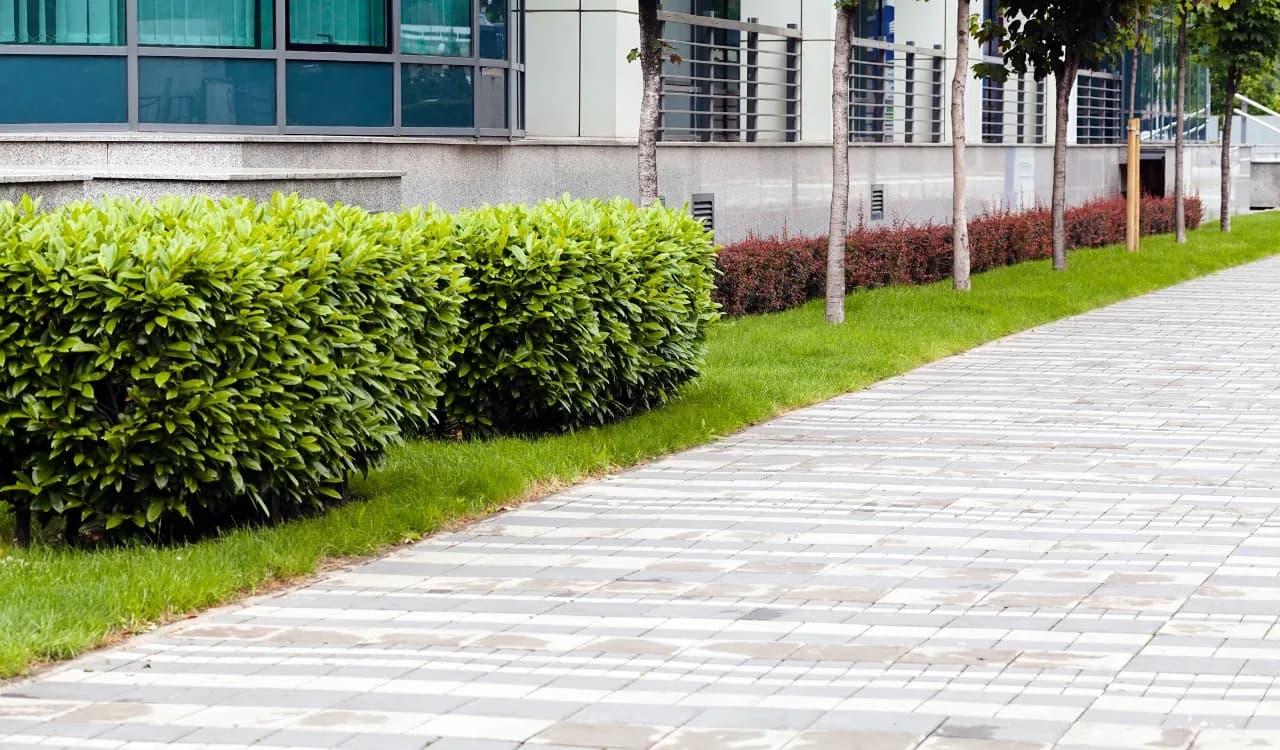 commercial landscaping services property maintenance